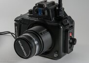 DSC_3769.jpg