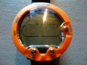 ZOOP Bottom Timer.jpg