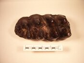 MUSEUM AND MY COLLECTION 192.jpg
