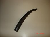 DSC00607.jpg