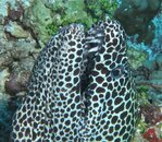 IMG_0581.jpg
