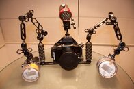 DSC_0313.jpg