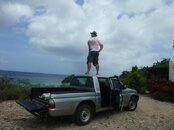 bonaire hire car.jpg
