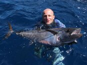 Tuna_SuluSea_S.jpg