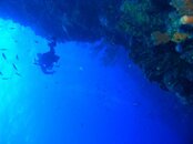 Mike Blue bay wall*.jpg