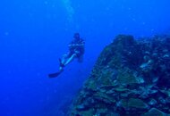 Blue bay wall *.jpg