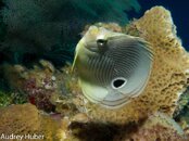 Grand Cayman 12 (1 of 1)-7.jpg