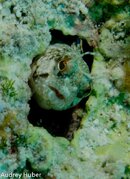 Grand Cayman 12 (1 of 1)-13.jpg