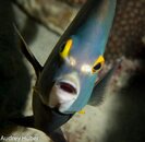 Bonaire 2012 (1 of 1)-3.jpg