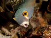 Bonaire 2012 (1 of 1)-4.jpg
