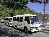 AquaMarine Diving - Bali's Minibuses.jpg