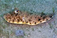IMG_9321wa.jpg