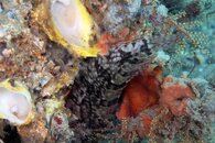IMG_9330wa.jpg