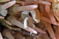 IMG_9380wa.jpg