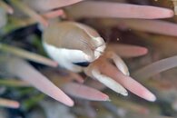 IMG_9383wa.jpg