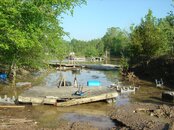 DSC03624.jpg