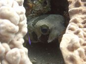 M0011553_small.JPG