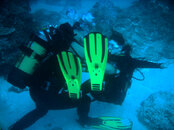 DSC02764.JPG