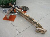 DSCN5959.jpg