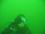 Fresh water jelly.JPG