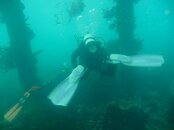 n729713689_961547_6388.jpg