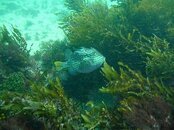n729713689_961548_6632.jpg