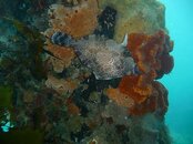 n729713689_961560_6465.jpg