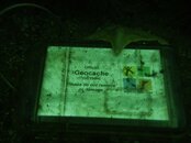 IMG_0081.jpg