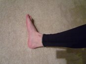 P1000108-small.jpg