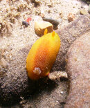 PICT0003.JPG
