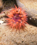 PICT0016.JPG