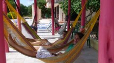 DSC00087.jpg