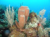 DSCN0716.jpg
