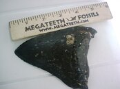Teeth 0626080.jpg