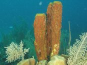 DSCN0708.jpg