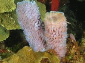 DSCN0728.jpg