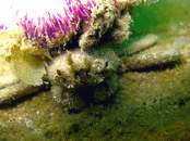 IMG_6354.gif