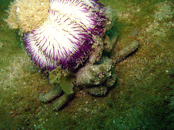 IMG_6356.gif