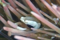 IMG_9386wa.jpg