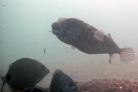 IMG_9431wa.jpg