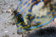 IMG_9429wa.jpg
