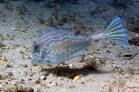 IMG_9424wa.jpg