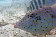 IMG_9413wa.jpg