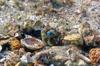 IMG_9492wa.jpg