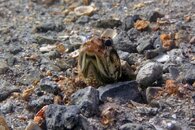 IMG_9514wa.jpg