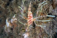 IMG_9724ja.jpg
