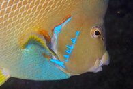 IMG_9729ja.jpg