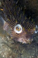 IMG_9780a.jpg