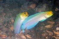 IMG_9956a.jpg