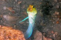 IMG_9969a.jpg